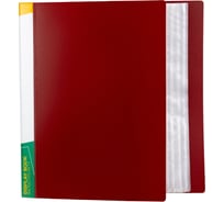 Папка INFORMAT с файлами, А4, 100 файлов, красная, пластик, 800 мкм, карман NP0180-100R