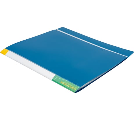 Папка INFORMAT с файлами, А4, 60 файлов, синяя, пластик, 600 мкм, карман NP0165-60B