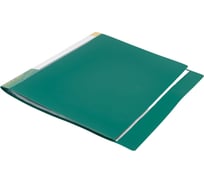Папка INFORMAT с файлами, А4, 60 файлов, зеленая, пластик, 600 мкм, карман NP0165-60G