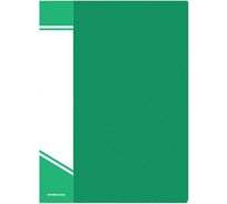 Папка INFORMAT с файлами, А4, 100 файлов, зеленая, пластик, 800 мкм, карман NP0180-100G