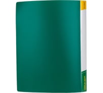 Папка INFORMAT с файлами, А4, 30 файлов, зеленая, пластик, 500 мкм, карман NP0151-30G