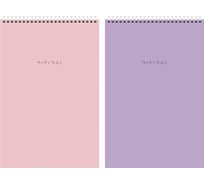 Блокнот BRAUBERG ДЭК А4 198x297 мм, 80 л, 2 шт., гребень, подложка, клетка, Pastel 116453