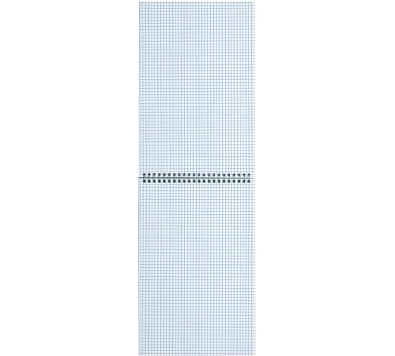 Блокнот BRAUBERG ДЭК А4 198x297 мм, 80 л, 2 шт., гребень, подложка, клетка, Classiс 116452