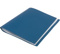 Папка LITE с файлами А4, 60 файлов, синий, пластик, 500 мкм NP0155-60BE