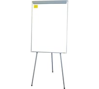 Магнитно-маркерный флипчарт INFORMAT на треноге, 100х70 см FS100x70