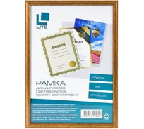 Фоторамка LITE 21х30, А4, пластик, бронза RAMPL2/BRZ
