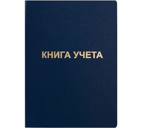 Книга учета INFORMAT 96 листов, клетка, офсет, А4, бумвинил, вертикальная, синий KYA4-BV96K