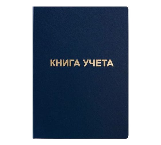 Книга учета INFORMAT 96 листов, клетка, офсет, А4, бумвинил, вертикальная, синий KYA4-BV96K 1
