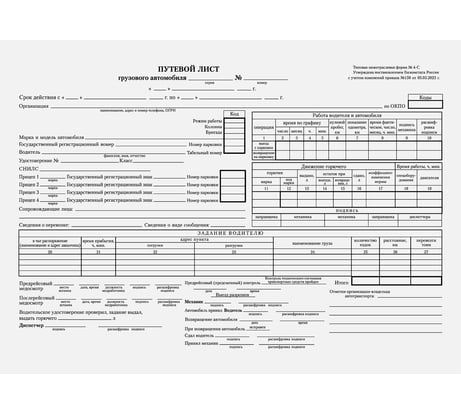 Бланк бух. 10 шт в упаковке BRAUBERG офсет Путевой лист груз. автом. б/талона А4 (198х275мм) СПАЙКА 100шт  130132