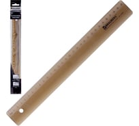 Линейка 48 шт в упаковке BRAUBERG пластик 30 см тонированная прозрачная европодвес  210299