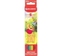 Карандаши цветные 24 шт в упаковке BRAUBERG "My lovely dogs" 6 цв. заточенные карт. упак.  180518
