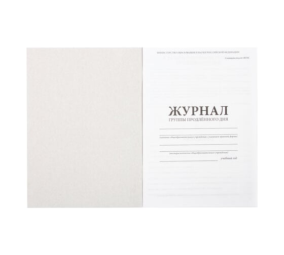 Журнал 10 шт в упаковке Staff группы продлённого дня 48л А4 200х290мм картон офсет  130244
