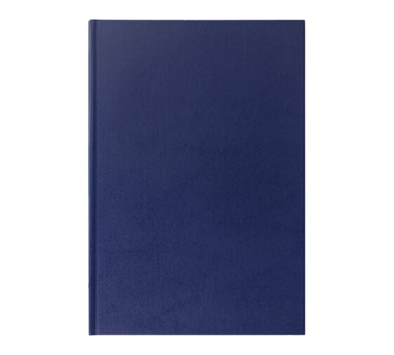 Книга учета BRAUBERG 144 л, клетка, твердая бумвинил блок офсет А4 200х290 мм 130226