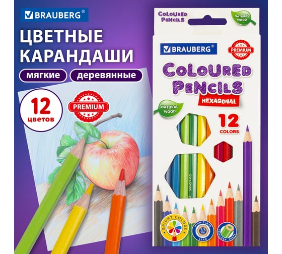 Карандаши цветные 12 шт в упаковке BRAUBERG PREMIUM 12 цветов шестигранные грифель мягкий 33 мм  181656