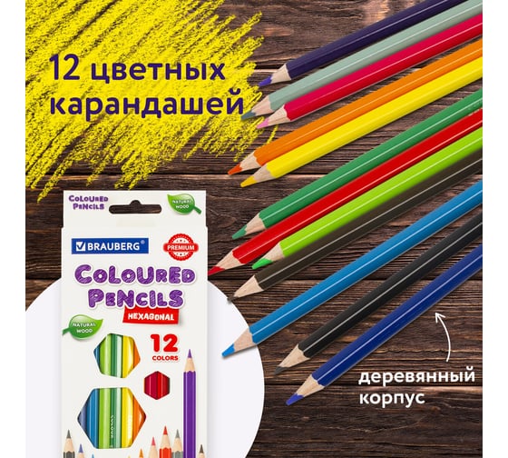 Карандаши цветные 12 шт в упаковке BRAUBERG PREMIUM 12 цветов шестигранные грифель мягкий 33 мм  181656