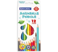 Цветные карандаши BRAUBERG PREMIUM AQUARELLE акварельные, 12 цветов, грифель мягкий 4 мм 181671