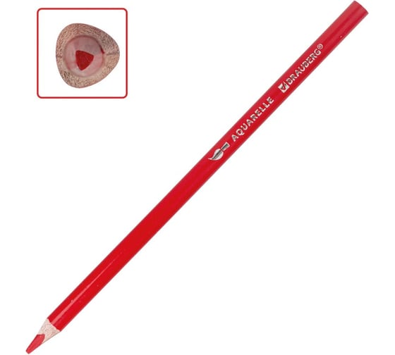 Цветные карандаши BRAUBERG PREMIUM AQUARELLE акварельные, 12 цветов, грифель мягкий 4 мм 181671