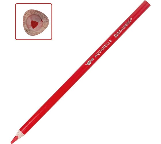 Карандаши цветные 24 шт в упаковке BRAUBERG акварельные PREMIUM AQUARELLE 6 цветов грифель мягкий 4 мм  181670