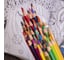 Цветные карандаши BRAUBERG PREMIUM AQUARELLE акварельные, 36 цветов, грифель мягкий 4 мм 181674 4