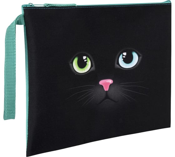 Папка для тетрадей А5 BRAUBERG 1 отделение, ткань, молния сверху, с ручкой Black Cat 270339