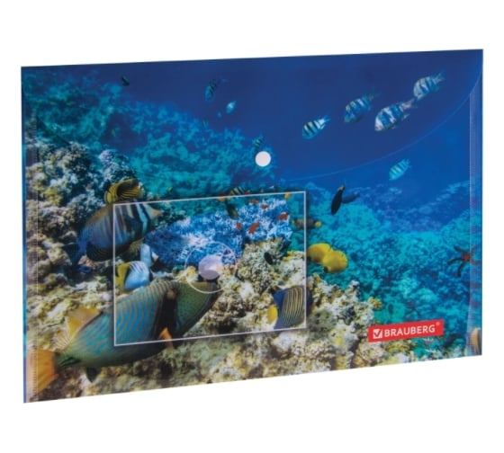 Папка-конверт 12 шт в упаковке BRAUBERG с кнопкой SEA WORLD А4 160 мкм до 100 листов цветная печать  228041 1