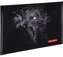 Папка-конверт 12 шт в упаковке BRAUBERG с кнопкой LEOPARD А4 160 мкм до 100 листов цветная печать 228039