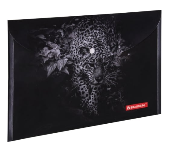 Папка-конверт 12 шт в упаковке BRAUBERG с кнопкой LEOPARD А4 160 мкм до 100 листов цветная печать  228039 1