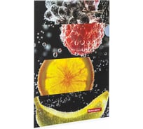 Папка-уголок 12 шт в упаковке BRAUBERG FRESH ZONE А4 150мкм цветная печать 228035