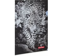 Папка-уголок 12 шт в упаковке BRAUBERG LEOPARD А4 150 мкм цветная печать  228040