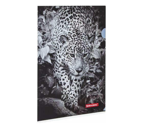 Папка-уголок 12 шт в упаковке BRAUBERG LEOPARD А4 150 мкм цветная печать  228040 1