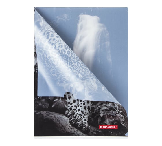 Папка-уголок 12 шт в упаковке BRAUBERG LEOPARD А4 150 мкм цветная печать  228040