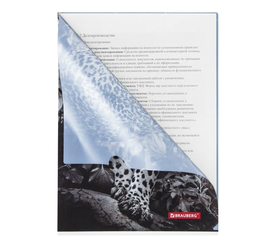 Папка-уголок 12 шт в упаковке BRAUBERG LEOPARD А4 150 мкм цветная печать  228040