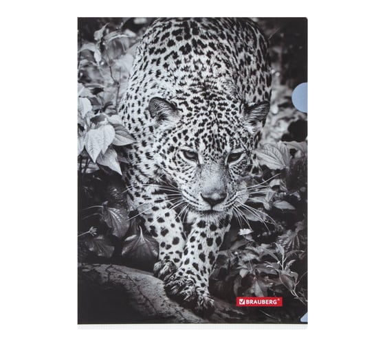 Папка-уголок 12 шт в упаковке BRAUBERG LEOPARD А4 150 мкм цветная печать  228040