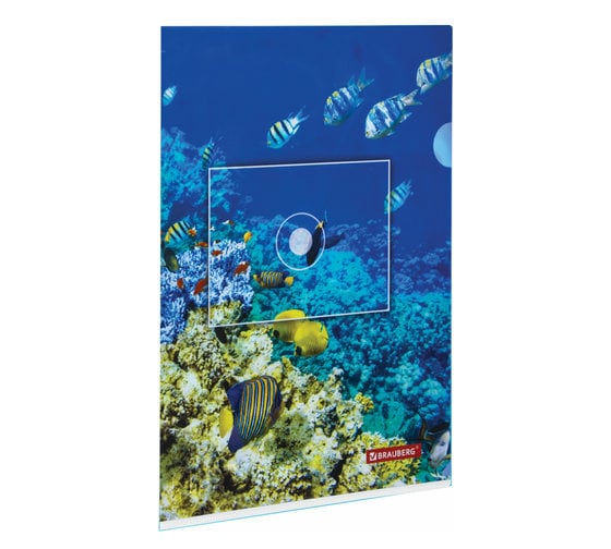 Папка-уголок 12 шт в упаковке BRAUBERG SEA WORLD А4 150 мкм цветная печать  228042 1