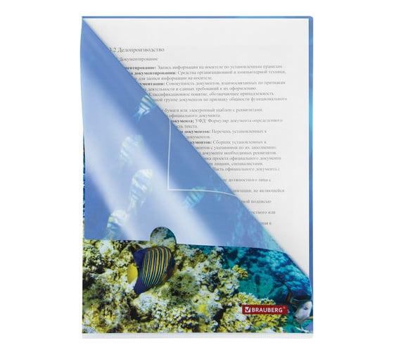 Папка-уголок 12 шт в упаковке BRAUBERG SEA WORLD А4 150 мкм цветная печать  228042
