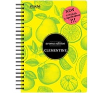 Бизнес-тетрадь Attache Selection ароматизированная 100л, клетка, А5, Клементин, спираль, тонированный блок 84906 737348