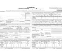 Бухгалтерские бланки Attache Путевой лист груз.автокниж.100л.4-П термоус. офсет 741257