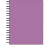 Бизнес-тетрадь Attache А5, 96л, клетка, спираль, пластиковый тонированный бл. Bright colours Сиреневый 1223701