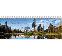 Недатированный планинг 20 шт в упаковке Attache Economy 300х100 мм 56 л Пт 136209