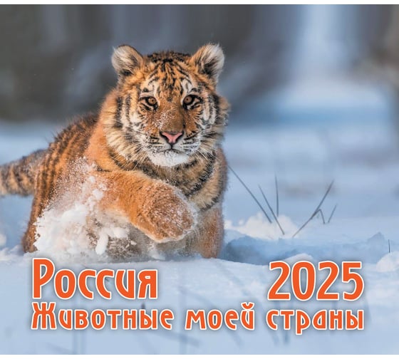 Календарь-домик ND Play Россия. Животные нашей страны. Маркет на 2025 год, евро 313091