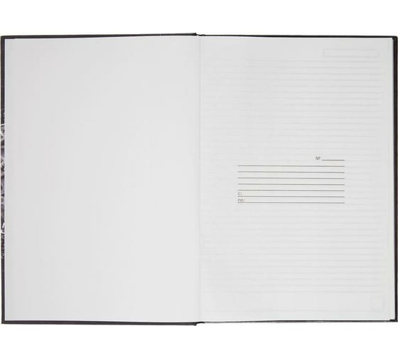 Бухгалтерская книга Attache 96 листов, линейка, обложка ламинированный картон 344413