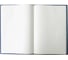 Книга учета BRAUBERG 160 л, А4 200х290 мм клетка, твердая обложка из картона, блок 130182 2
