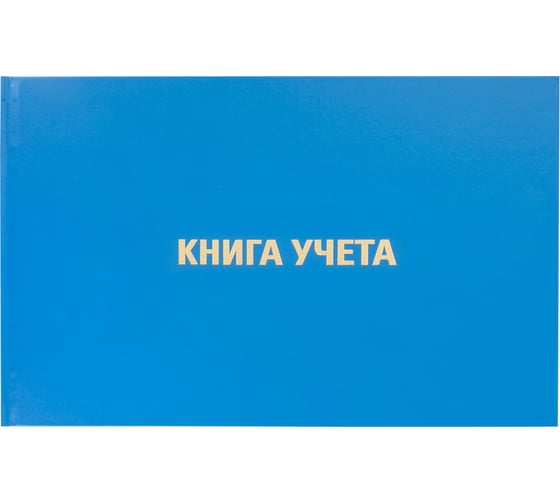 Книга учета BRAUBERG 96 л, А4, 210х295 мм, клетка, блок альбомный формат 130074