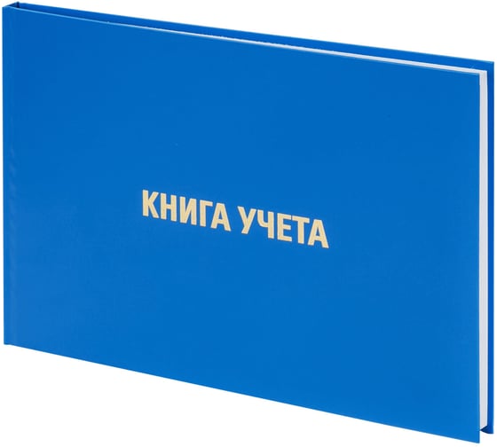 Книга учета BRAUBERG 96 л, А4, 210х295 мм, клетка, блок альбомный формат 130074