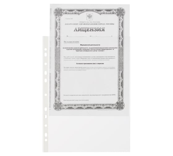 Папка Attache Стандарт файл-вкладыш с перфорацией А4 30 мкм, 100 шт 715776