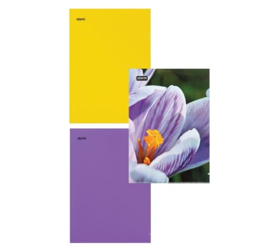 Папка-уголок Attache Selection Crocus А4 ассорти, 6 шт в упаковке 845454