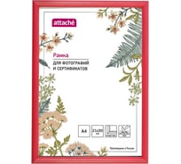 Пластиковая рамка 25 шт в упаковке Attache 21x30 см A4 ПЭТ красная 1173999
