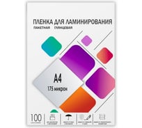 Пленка-заготовка для ламинирования ГЕЛЕОС A4, 216х303 мм, 175 мкм, глянцевая, 100 шт LPA4-175 17358738