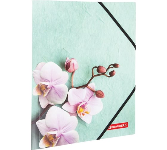 Папка на резинках BRAUBERG FLOWER А4, цветная печать, до 300 листов, 500 мкм 228032 1