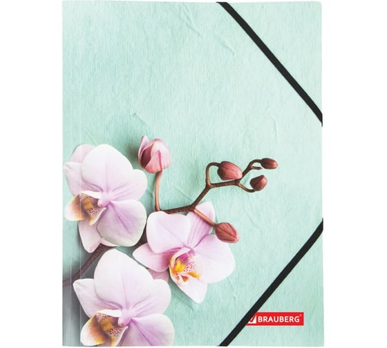 Папка на резинках BRAUBERG FLOWER А4, цветная печать, до 300 листов, 500 мкм 228032